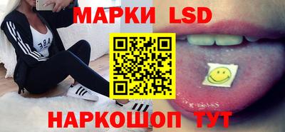 spice Кингисепп
