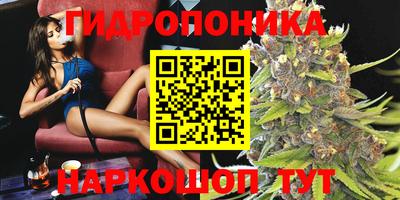 spice Кингисепп