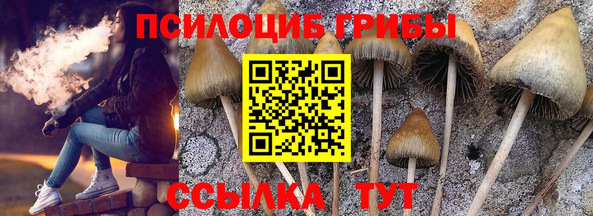 Галлюциногенные грибы Psilocybine cubensis  Вход с VPN  Клин 
